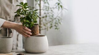 ホームページ 管理会社 変更：アイキャッチ画像