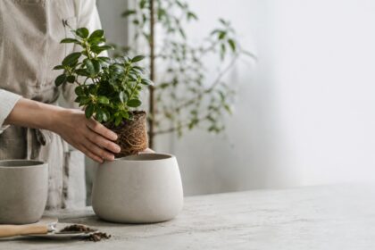 ホームページ 管理会社 変更:アイキャッチ画像